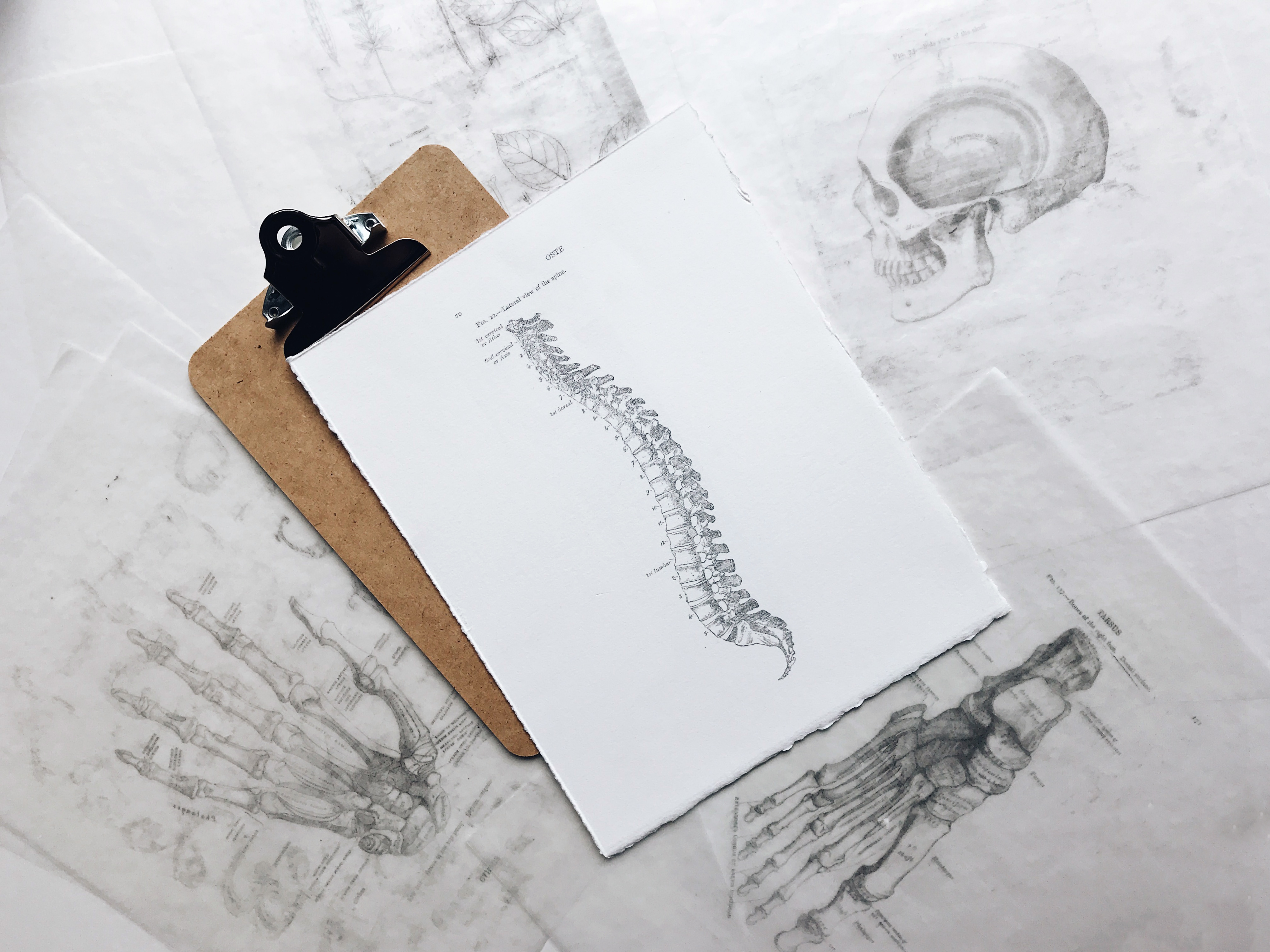 chiropractic nurse
